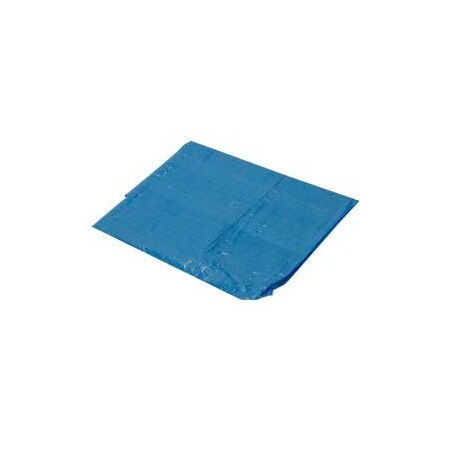 Harpster Of Philipsburg Light Duty Tarp, 20 ft x 20 ft, Blue, High-Density Polyethylene B20x20